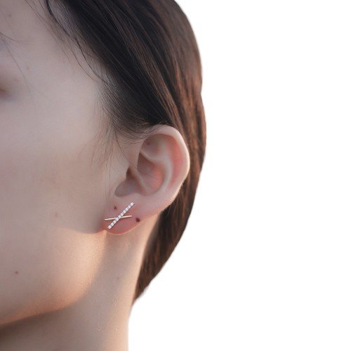 Cross Bar Earrings2