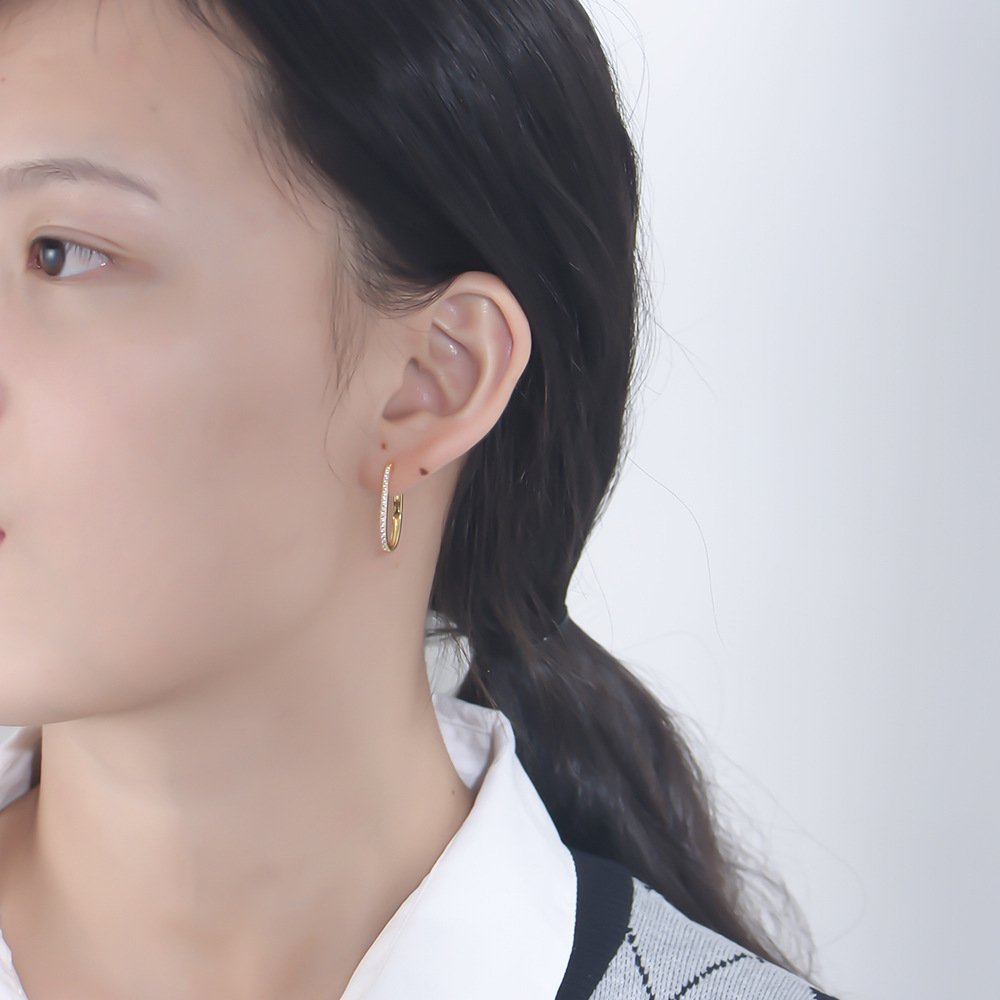 Oval Hoop Earrings2