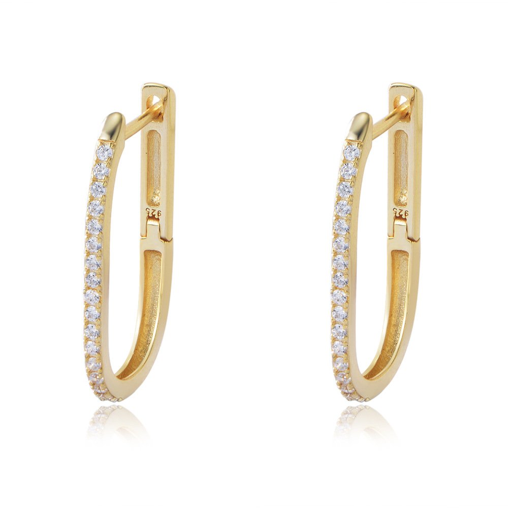 Oval Hoop Earrings1