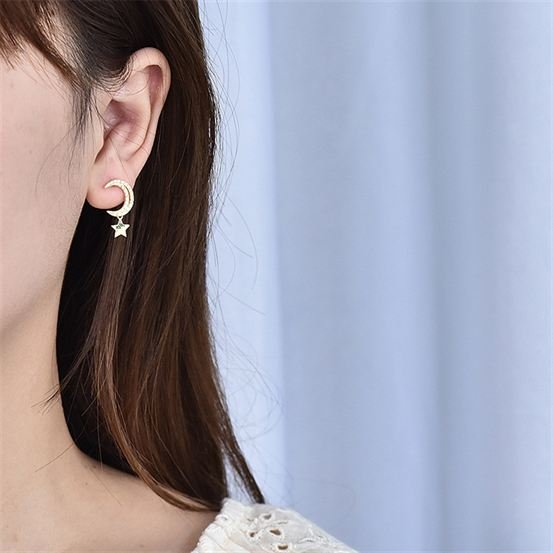 Crescent Moon Earrings2