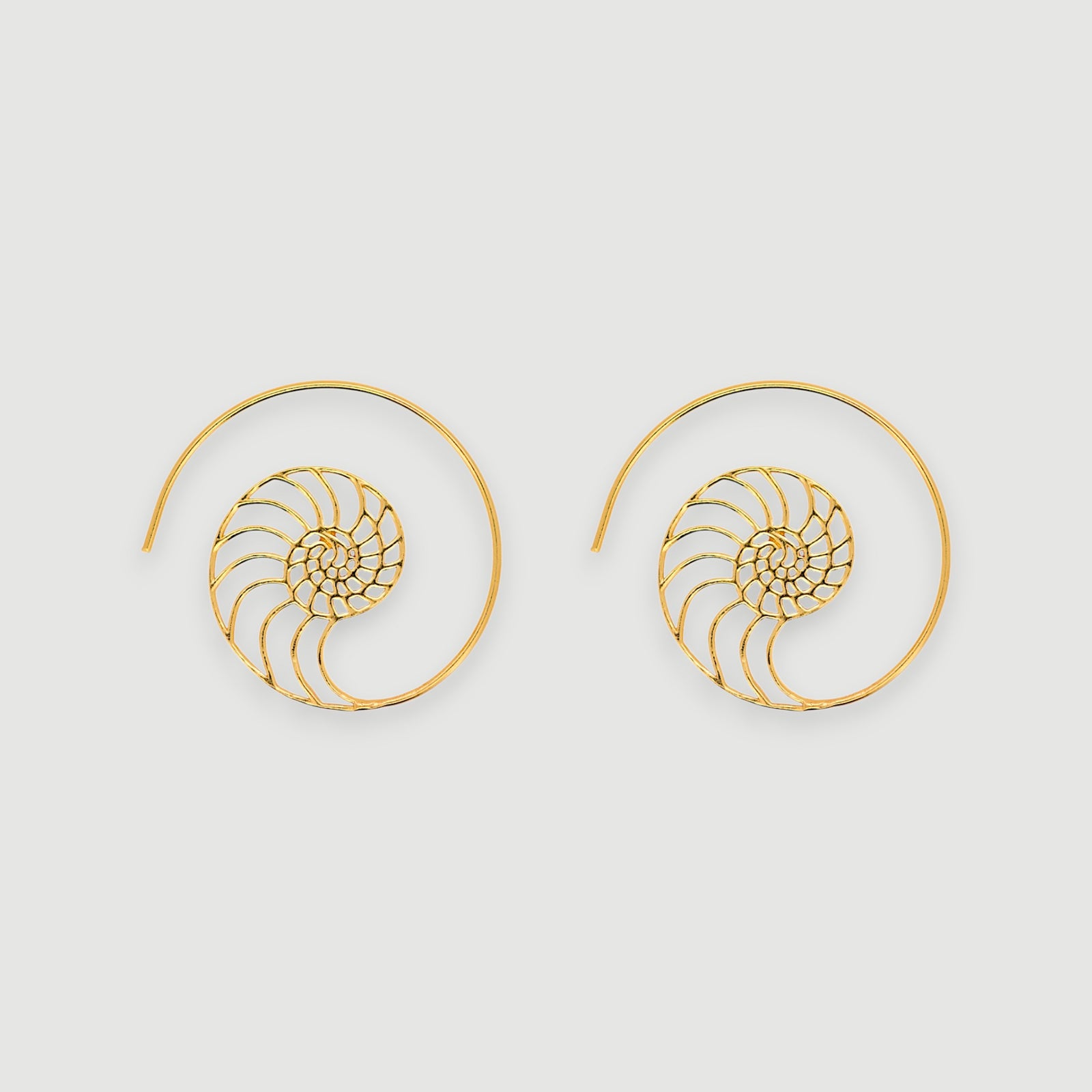 Spiral Hoop Earrings1