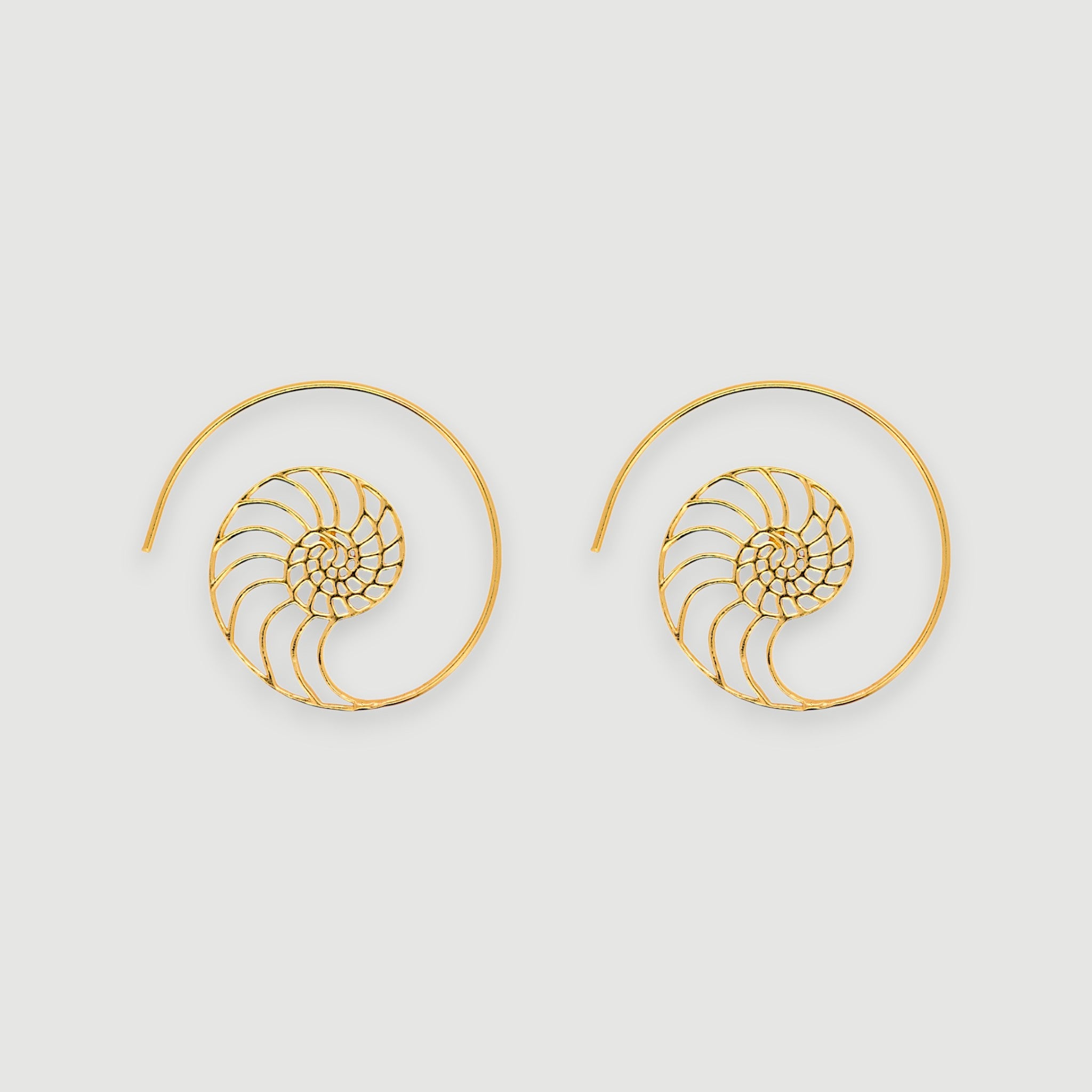 Spiral Hoop Earrings1