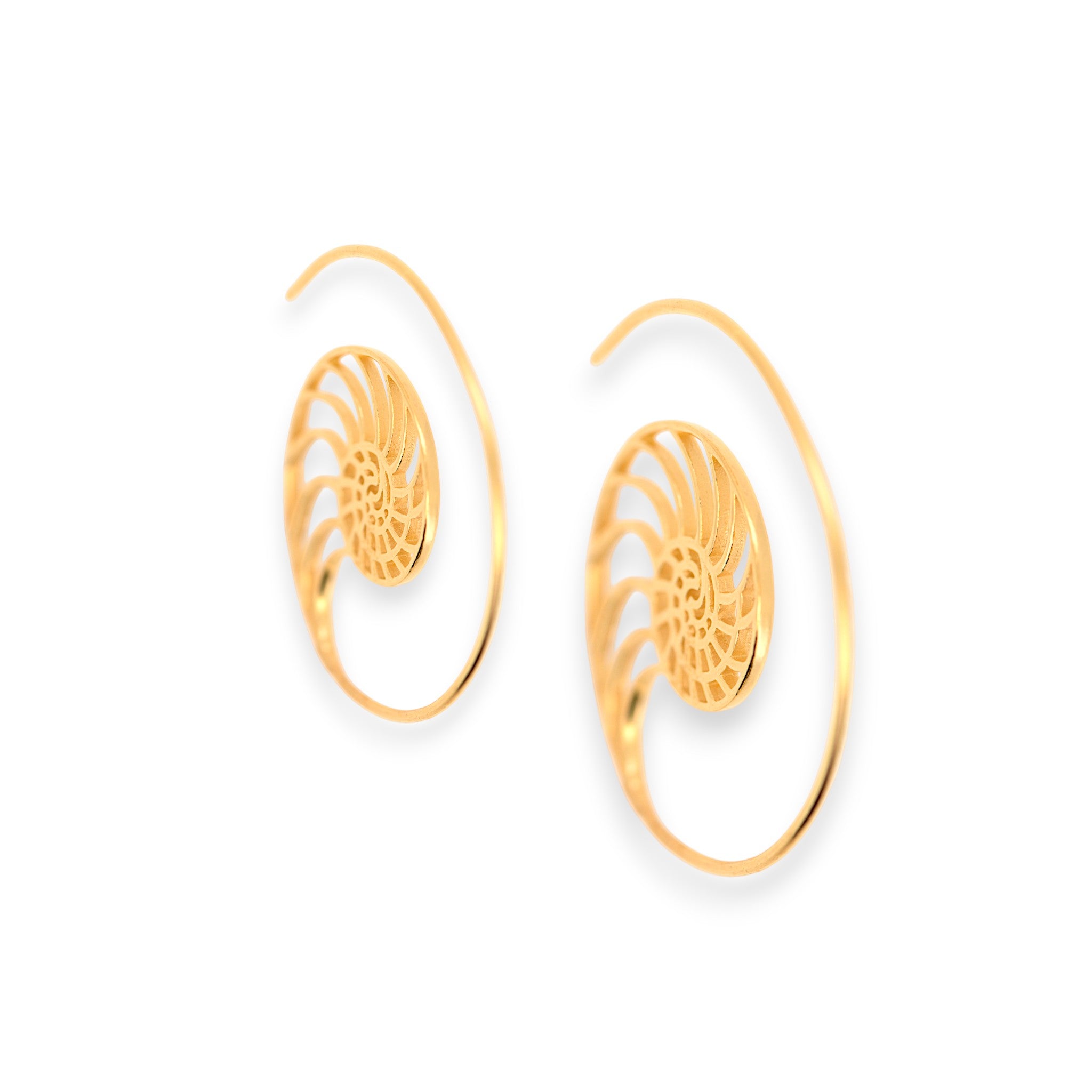Spiral Hoop Earrings3