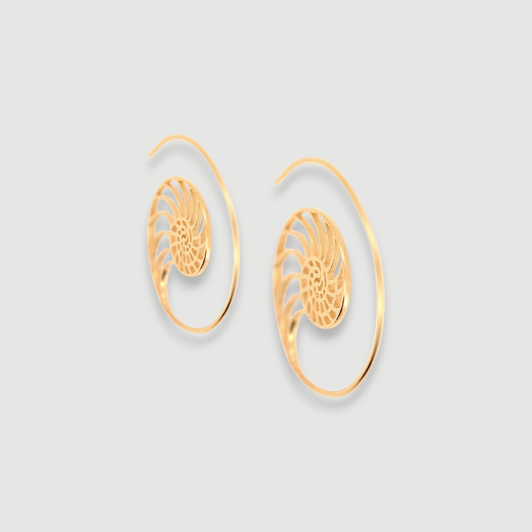 Spiral Hoop Earrings3