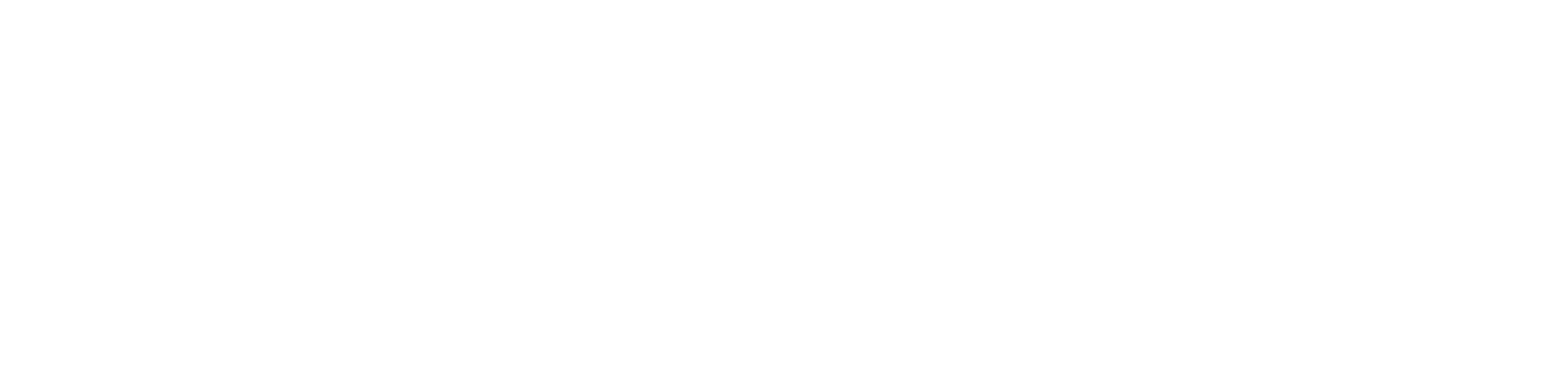 White logo Amara Jewels 2