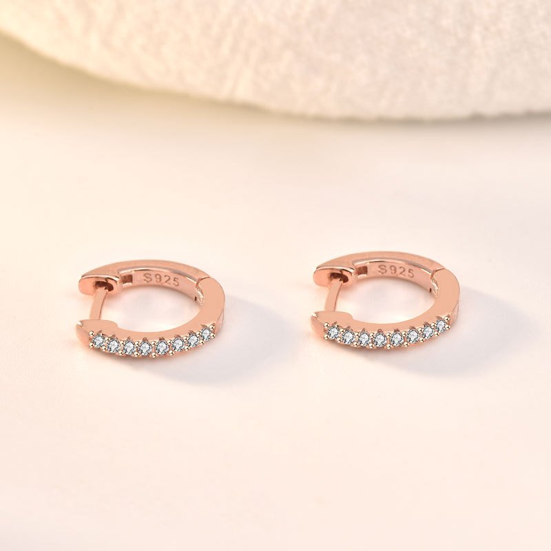 Classic Hoop Earrings2