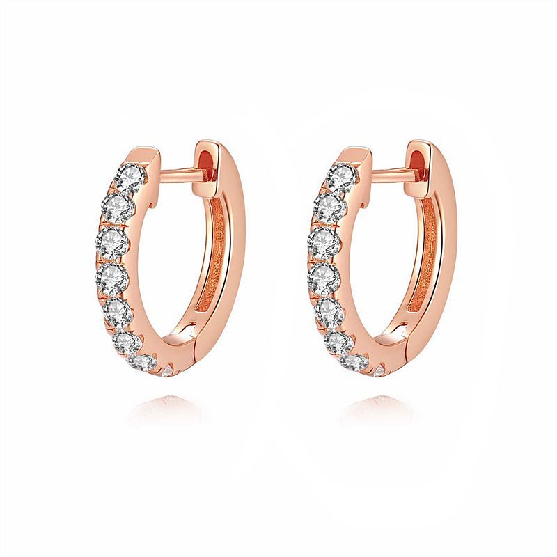 Classic Hoop Earrings1