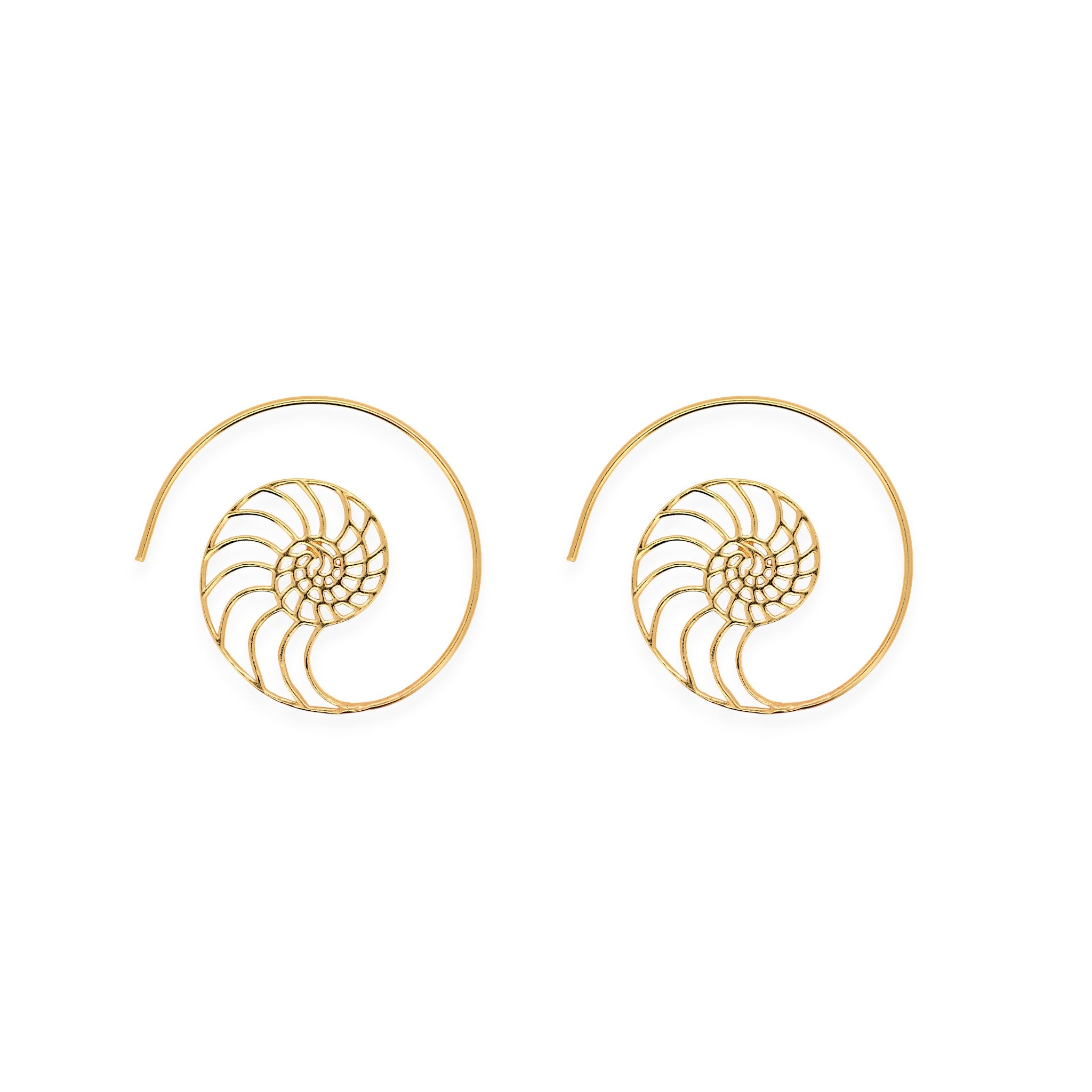 Spiral Hoop Earrings1