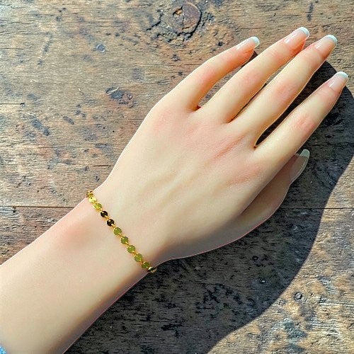 Amara Jewels gold-plated sterling silver bracelet with interlocking polished discs, adjustable chain, and lobster clasp.